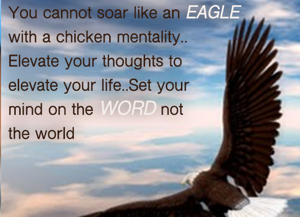 eagle mentality